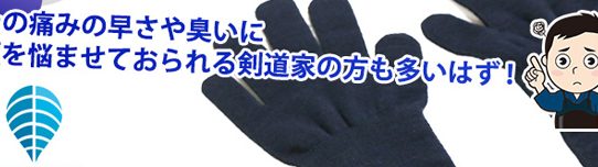剣道用手袋!!【NEW】BIOCLEAN 甲手下手袋を使ってみました!!